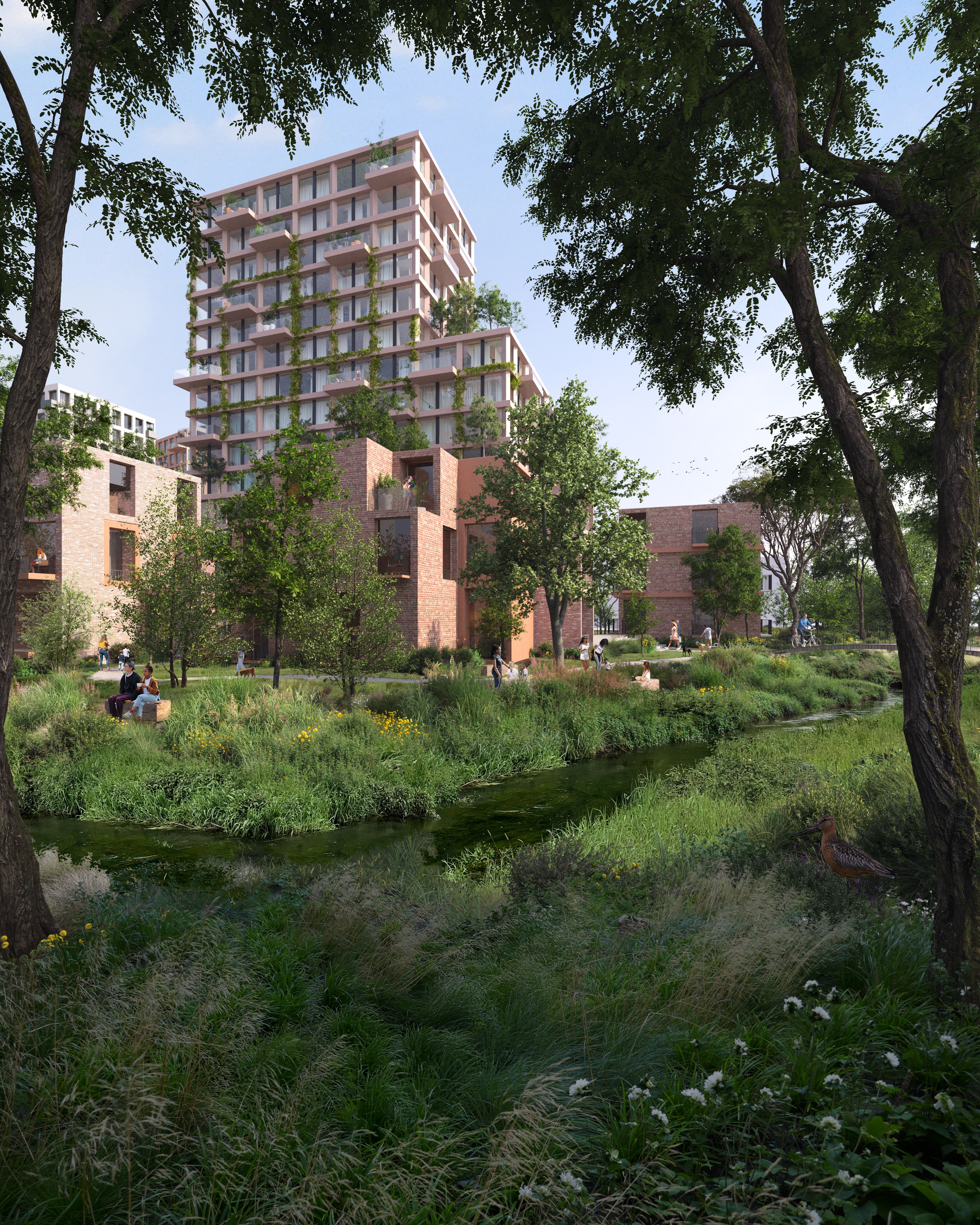 Pro6 - Cluster BLOM, Nieuw Oudorp (Alkmaar) afbeelding 2