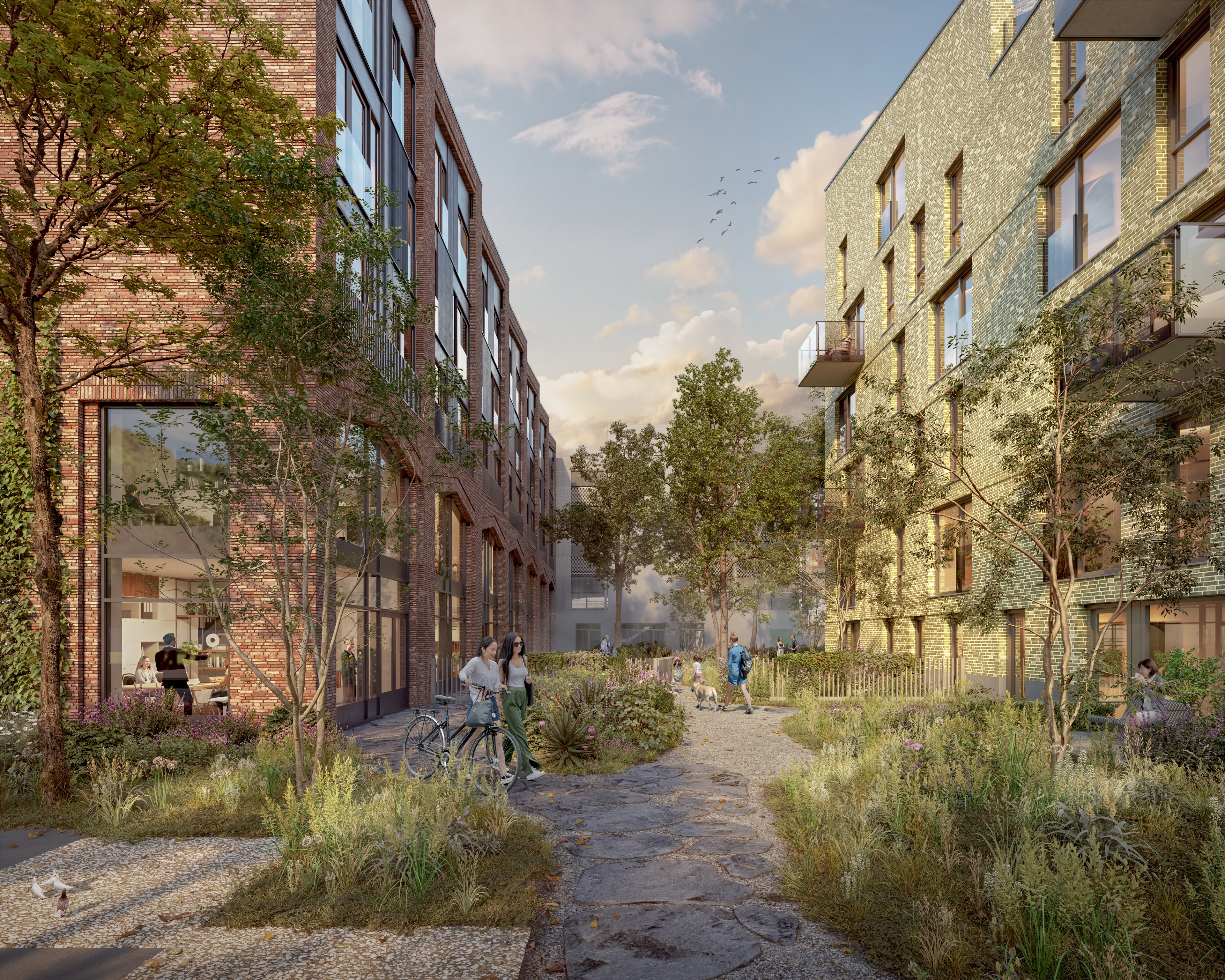 Pro6 - Dok6 hoofdfoto