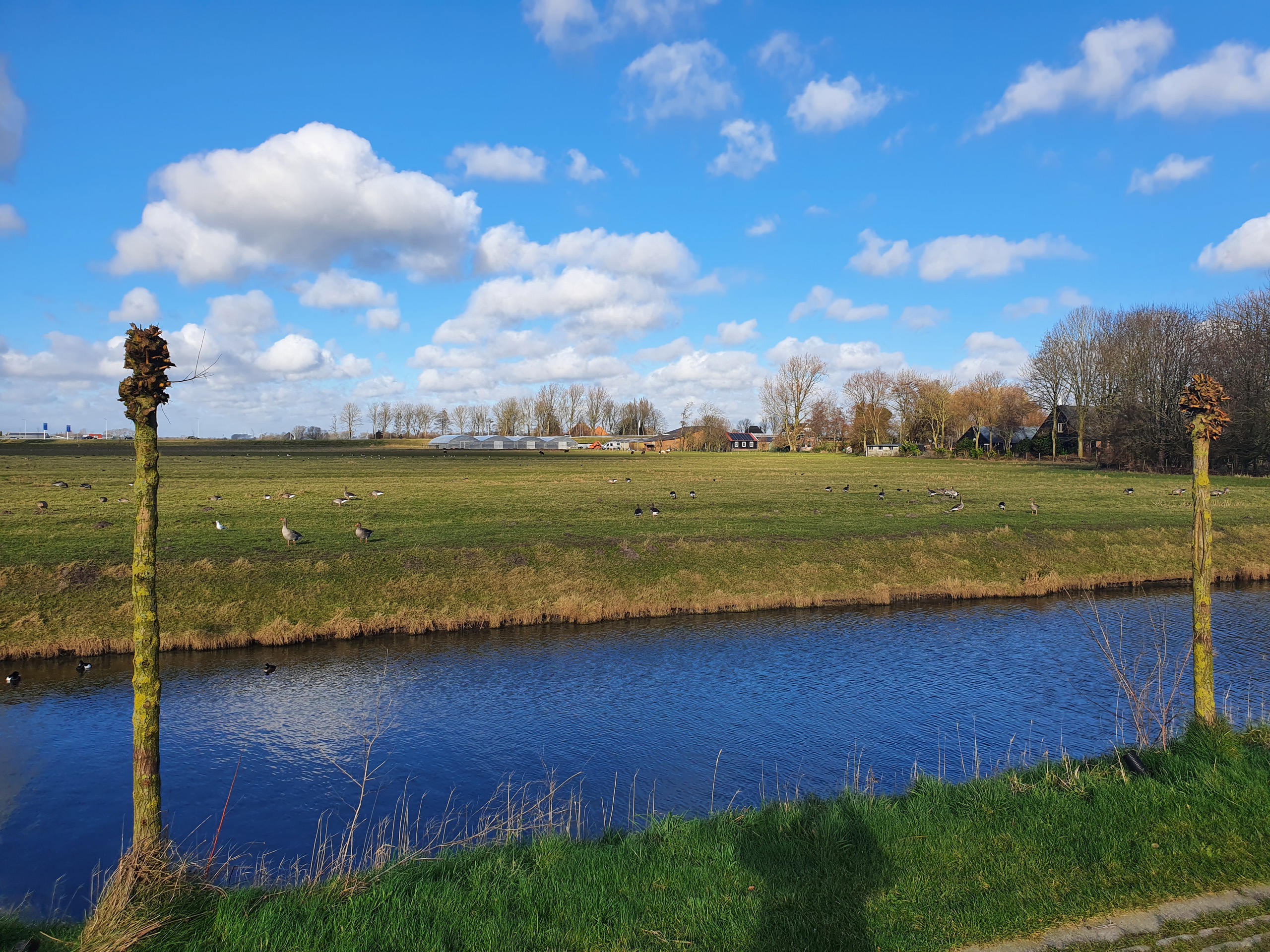 Pro6 - Project Korenbloemstraat Heerhugowaard (De Draai)